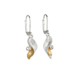Wings of gold and black with stone